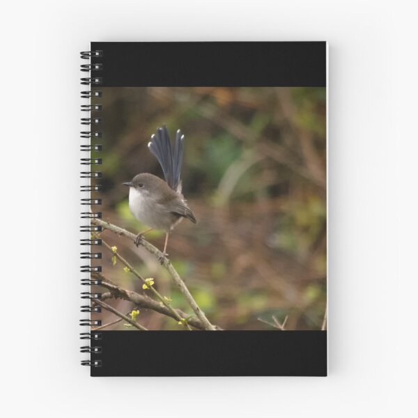 Item preview, A wee little Splendid Wren designed and sold by Clare Colins.