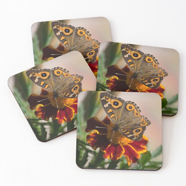 Item preview, The Butterfly and the Marigold designed and sold by Clare Colins.