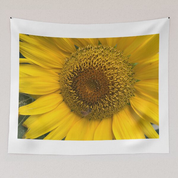 Item preview, Sunflower Glory designed and sold by Steve Wilding.