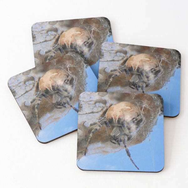 Item preview, ©NS On The House IA. designed and sold by OmarHernandez.