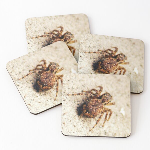 Item preview, ©NS A Spider Life LXVI. designed and sold by OmarHernandez.