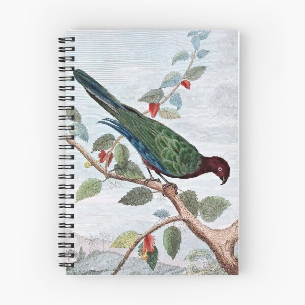Item preview, Pompadour Parrot Art designed and sold by goldenmenagerie.
