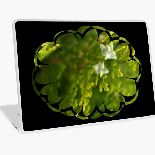 cypress like Laptop Skin