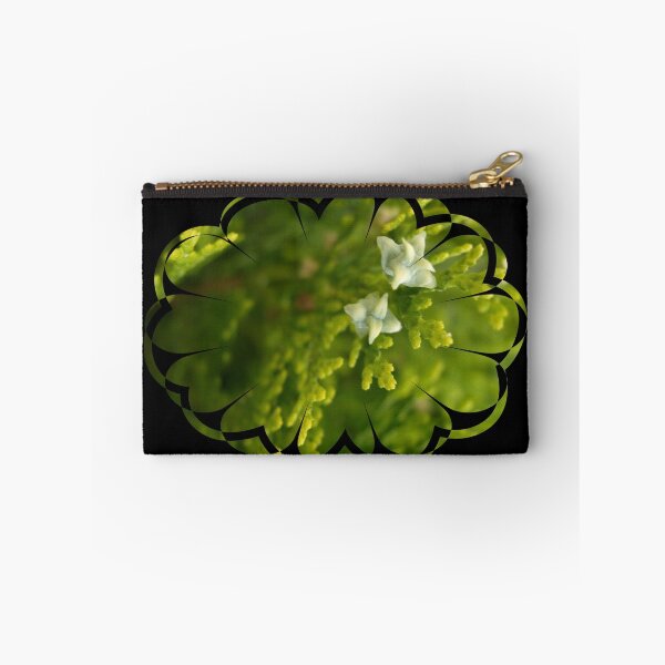 Item preview, cypress like designed and sold by tbshots.
