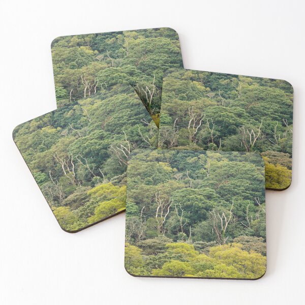 Item preview, Aerial view of rainforest canopy designed and sold by Juhku.