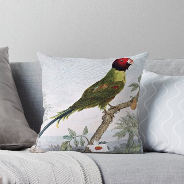 Aperçu de l'œuvre Rose headed Parakeet Bird créée et vendue par goldenmenagerie.