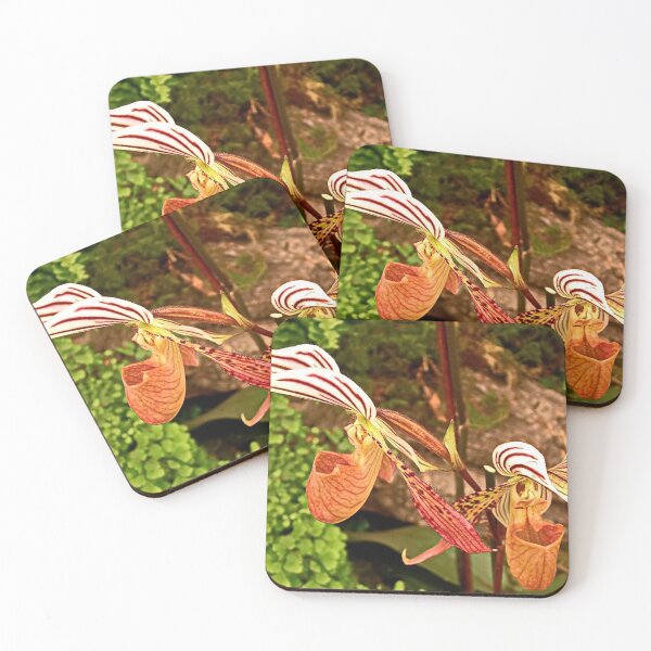 Item preview, Pair of Slipper Orchids designed and sold by AnnDixon.