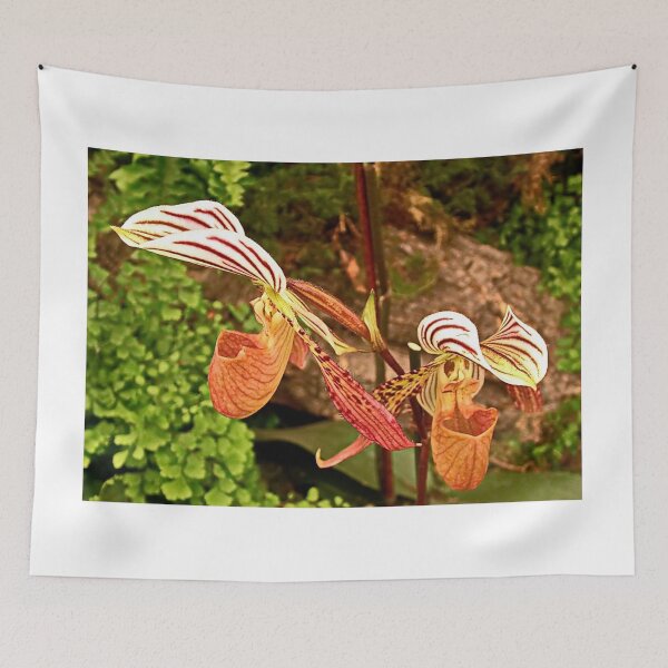 Item preview, Pair of Slipper Orchids designed and sold by AnnDixon.