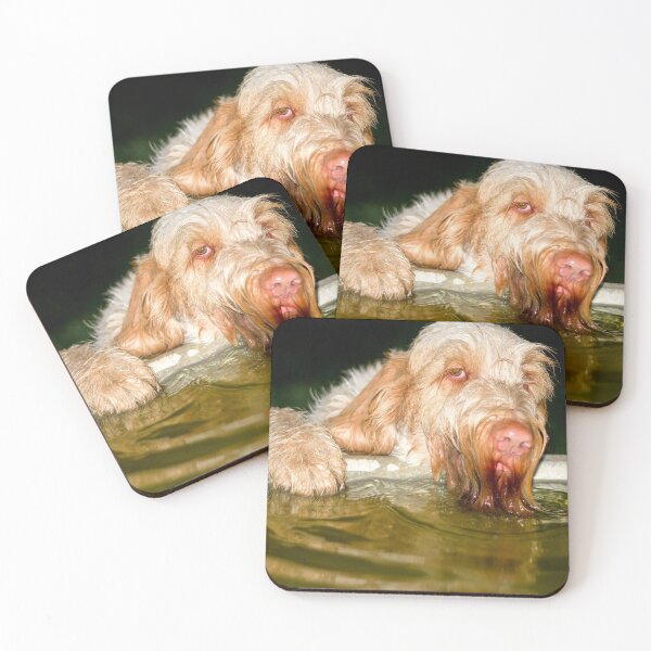 Item preview, Drinking in the dark Spinone designed and sold by FOLK ART FUSION.