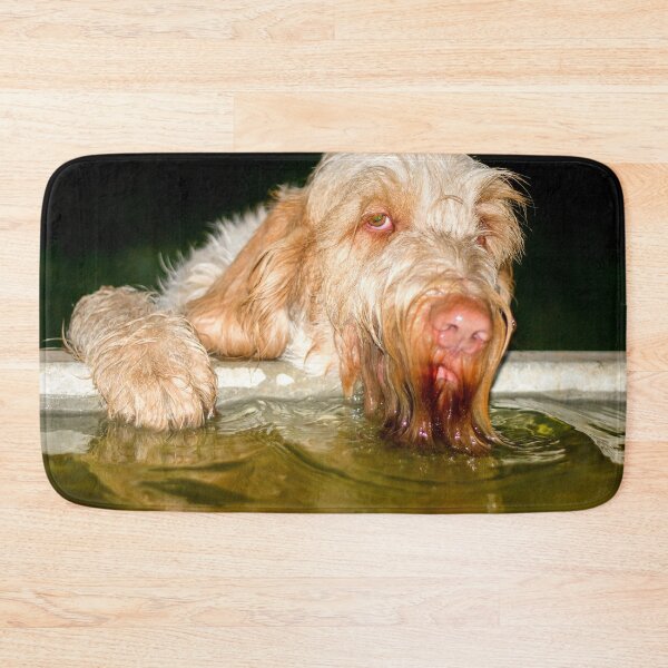 Item preview, Drinking in the dark Spinone designed and sold by FOLK ART FUSION by heidiannemorris.