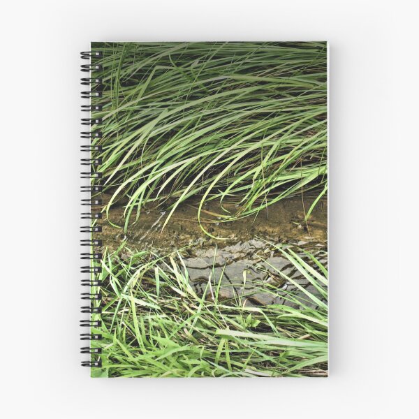 Item preview, "A Streamlet Runs Through It"... prints and products designed and sold by Bob Hall©.