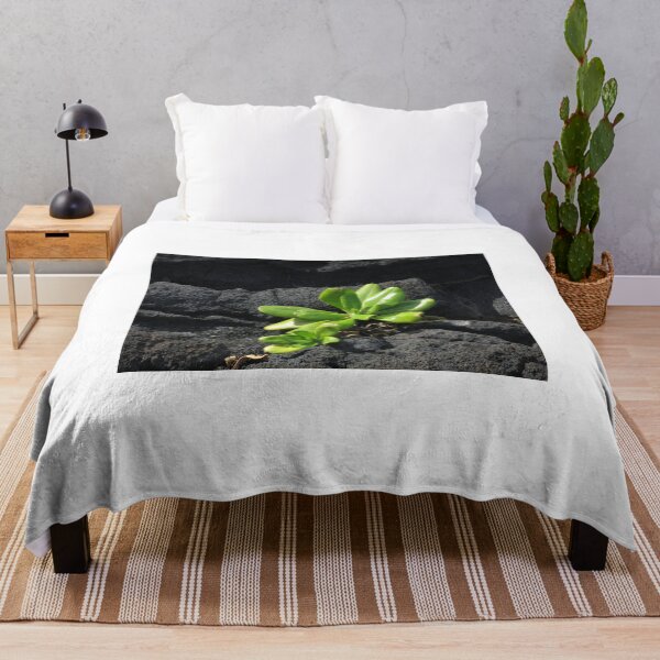Item preview, Plant in lava, Hawaii designed and sold by Julian Edgar.