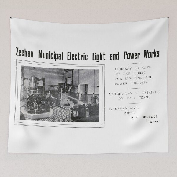 Item preview, Historic Tasmania. Zeehan Light & Power Works 1900s designed and sold by taspaul.