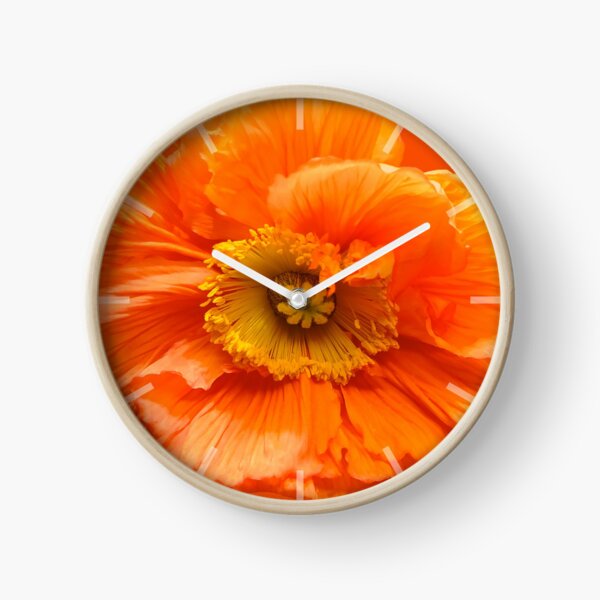 Mohnblume poppy orange  Uhr