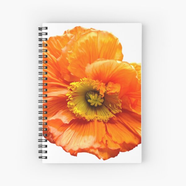 Mohnblume poppy orange Spiralblock