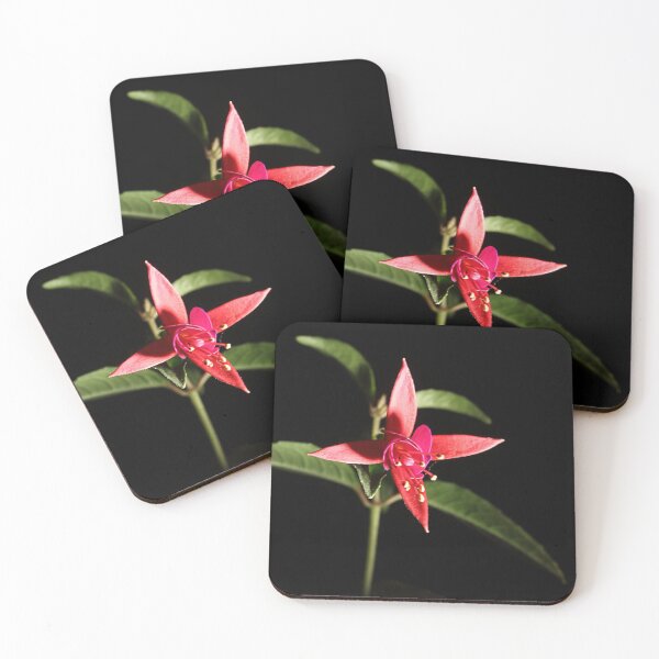 Item preview, Fuschia designed and sold by Paul Pasco.