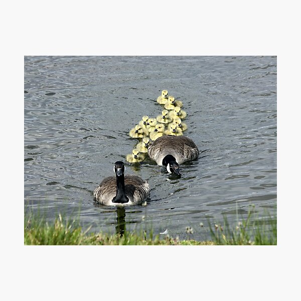 Item preview, Family Outing! designed and sold by dilouise.