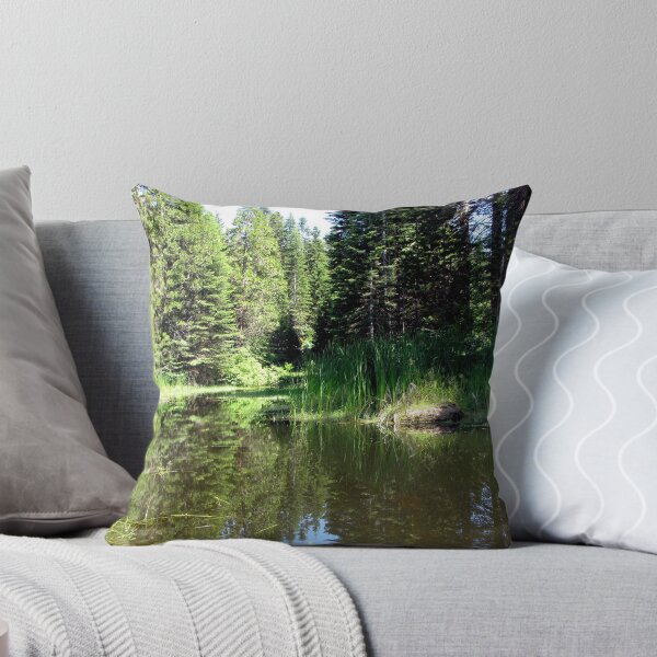 Item preview, Reflections at a Roadside Pool designed and sold by Chris Gudger.