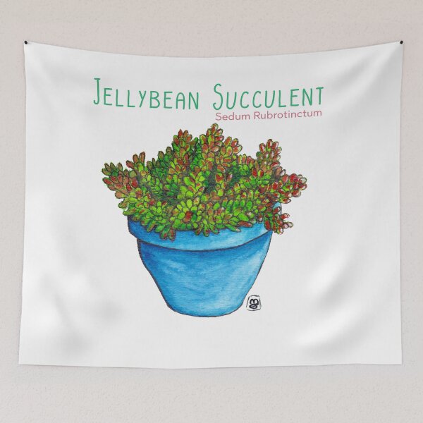 Item preview, Jellybean Succulent designed and sold by midgetgemdoodle.