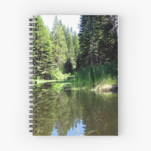 Item preview, Reflections at a Roadside Pool designed and sold by Chris Gudger.