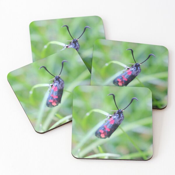 Item preview, “Six Vivid Spots ” designed and sold by Richard Couchman.