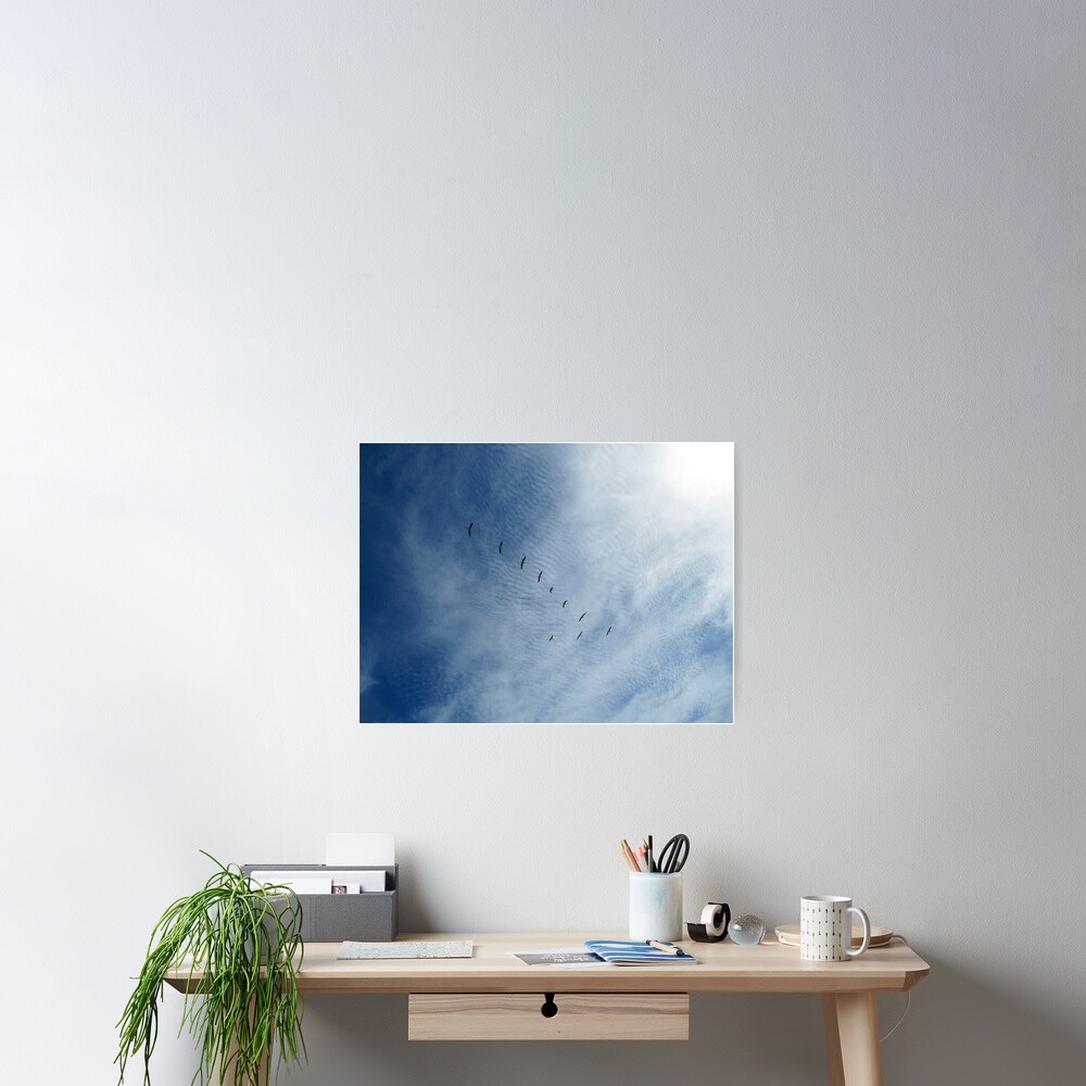 Distant Birds Poster