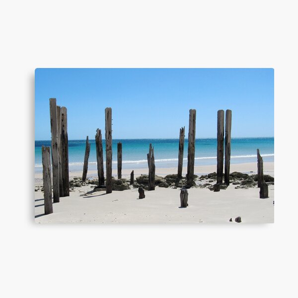Posts Canvas Print