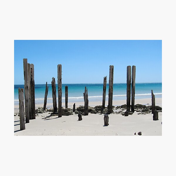 Posts Photographic Print