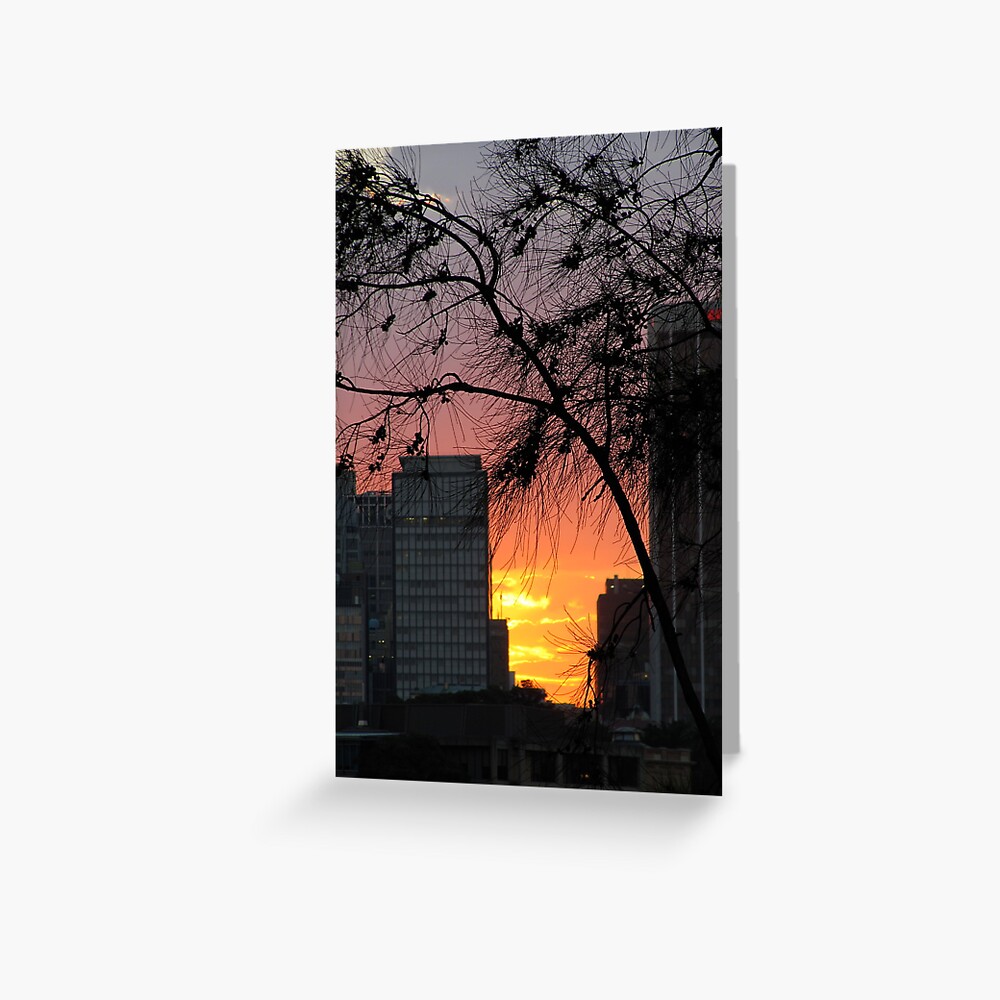Sydney Sunset Greeting Card