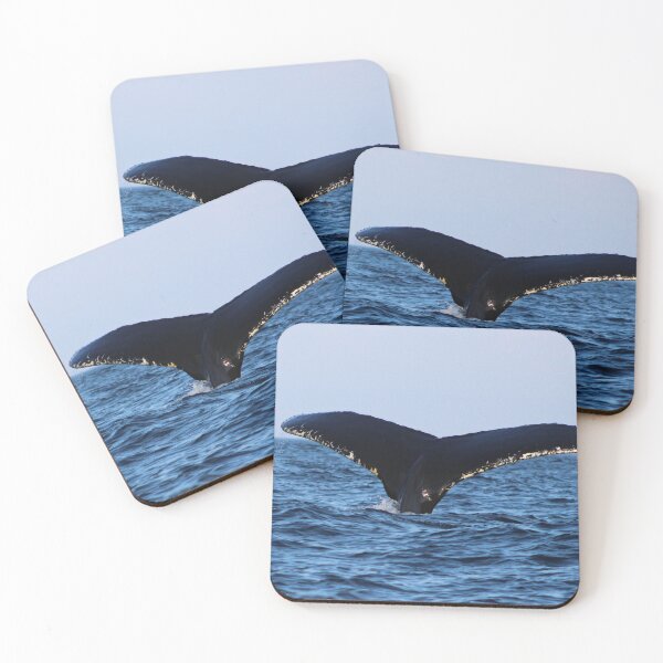 Item preview, Diving Whale designed and sold by Kaylee Busniuk.