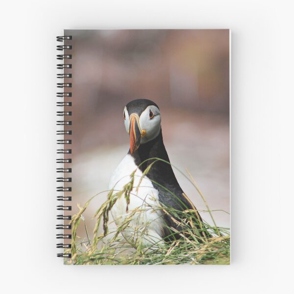 Item preview, Peeping Puffin designed and sold by Kaylee Busniuk.