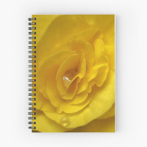 Item preview, Sunshine and Dewdrops designed and sold by Susie Hawkins.
