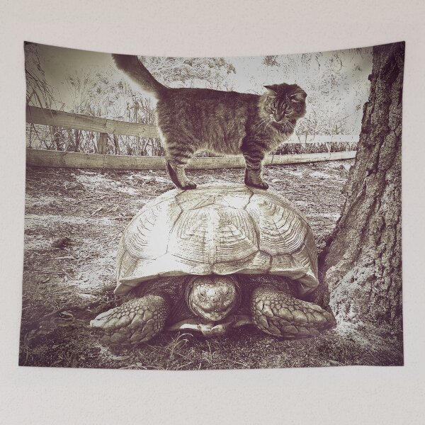 Item preview, Cat Standing on a Sulcata Tortoise designed and sold by misimichu.