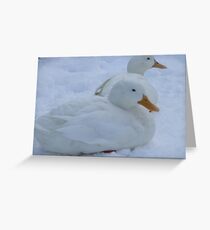 Duck Down - Stamford Park, Stalybridge Greeting Card