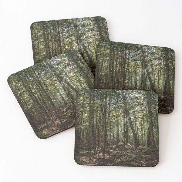 Item preview, Rayos de sol en el bosque designed and sold by Brooke T Ryan Photographic Art.