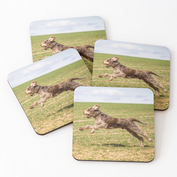 Item preview, Feel like flying Spinone designed and sold by FOLK ART FUSION by heidiannemorris.