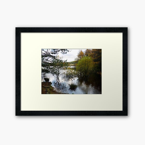 Reflections Framed Art Print