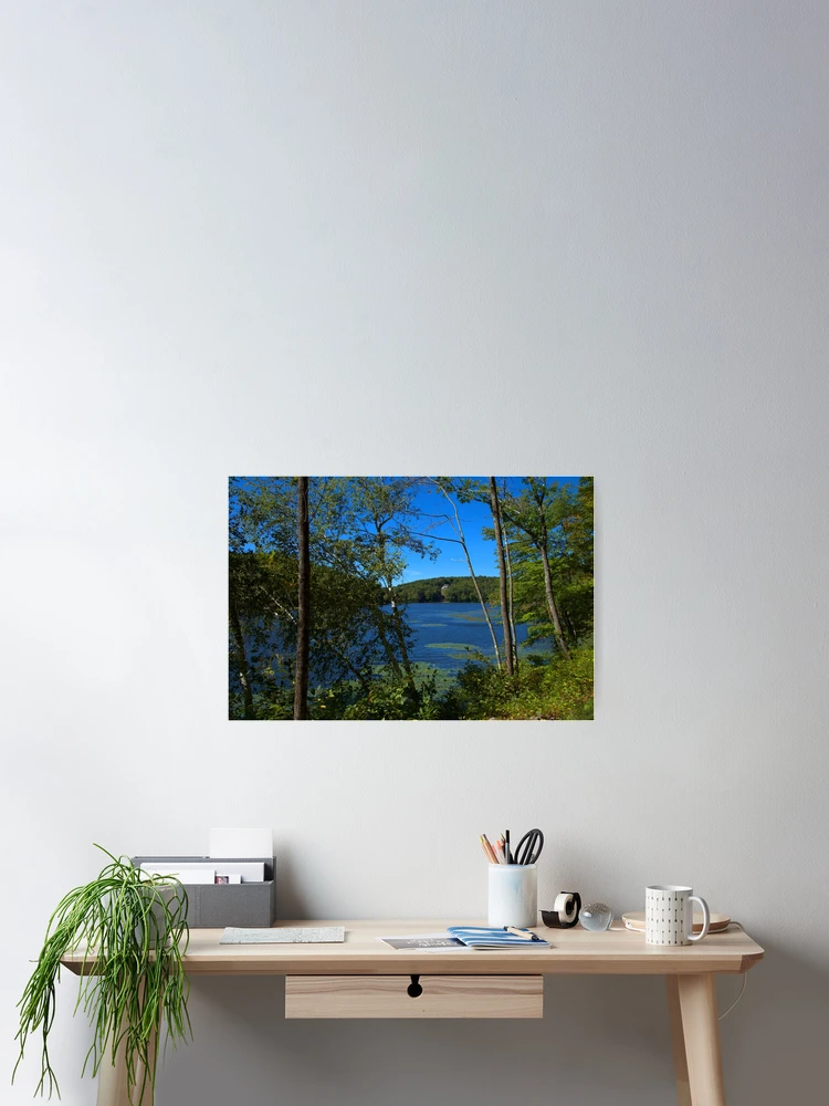 Thumbnail 2 of 3, Poster, Spring In Kent designed and sold by Karol Livote.