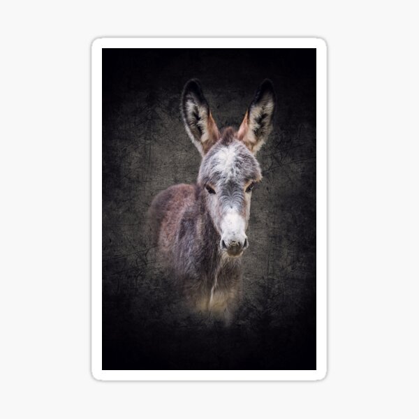 Item preview, Donkey foal Mattheo designed and sold by Nicole Bleck.