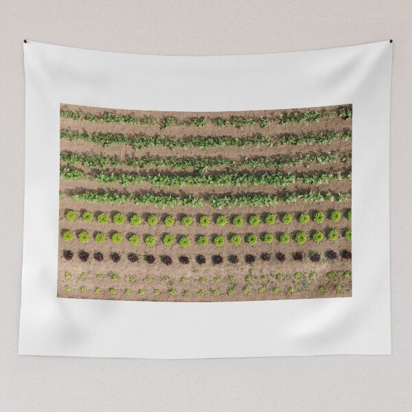 Item preview, Orchard from above designed and sold by MarioGuti.