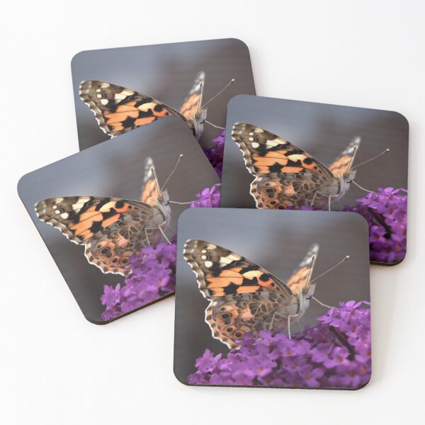 Artikelvorschau, Distelfalter Schmetterling entworfen und verkauft von Roxyphotography.