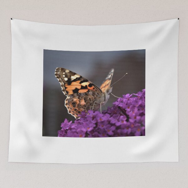 Item preview, Painted Lady Butterfly designed and sold by Roxyphotography.