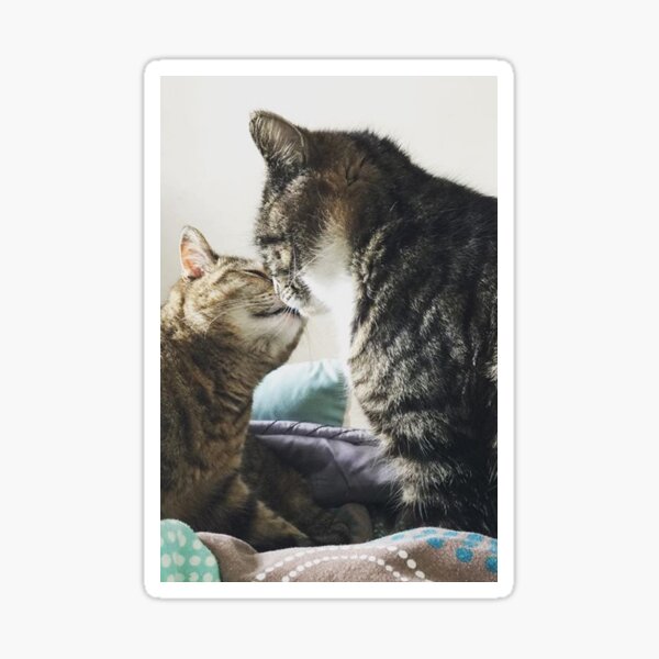 Kitty kisses Sticker