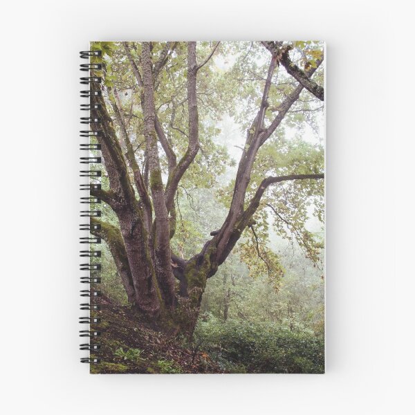 Item preview, old gnarled tree designed and sold by STUDIOCLAIRE.