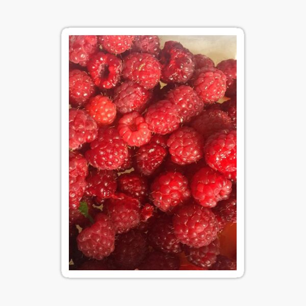raspberry Sticker