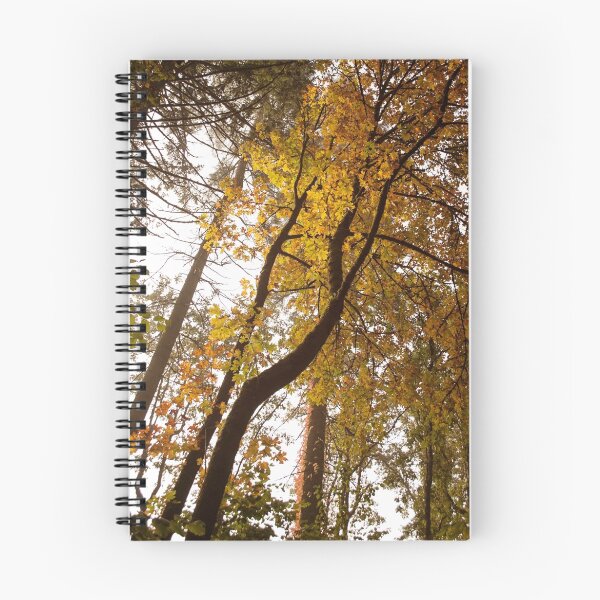 Artikelvorschau, Herbstbäume in Brand entworfen und verkauft von STUDIOCLAIRE.