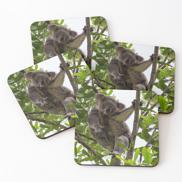Item preview, Koala designed and sold by Beth-Young.