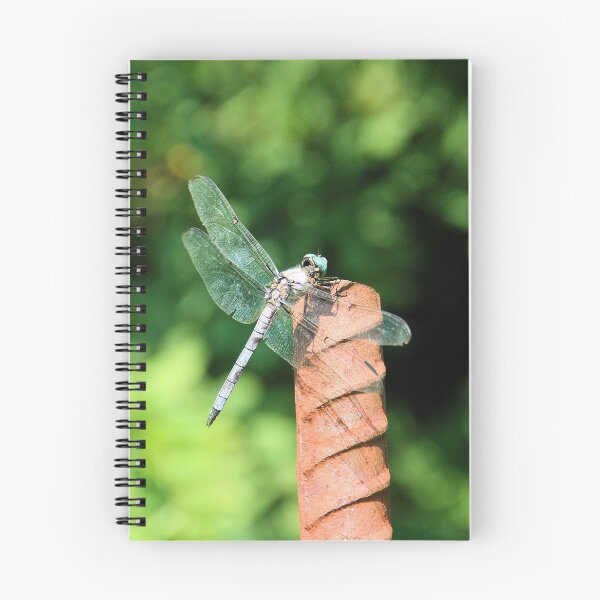 Item preview, Dragonfly designed and sold by elombowmanart.