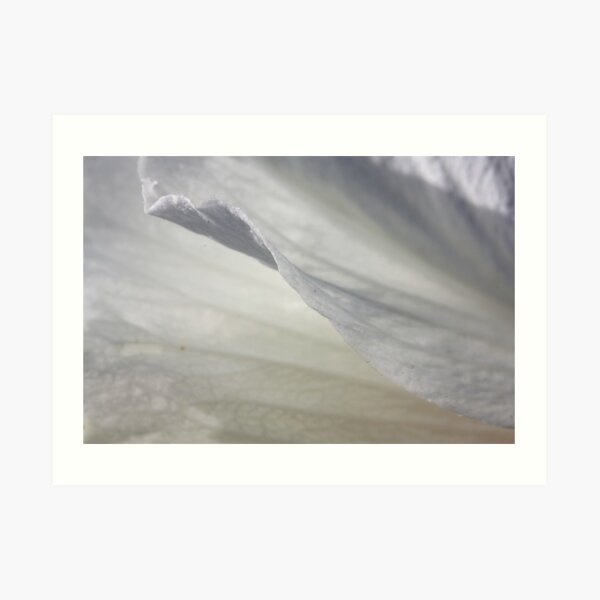 Exquisite lightness Art Print