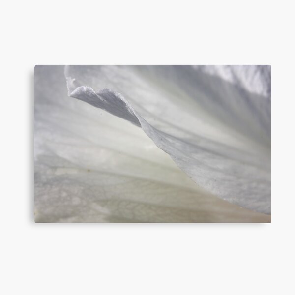 Exquisite lightness Metal Print
